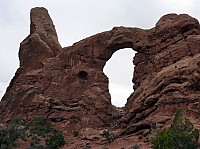 Arches Windows Arches (8).JPG